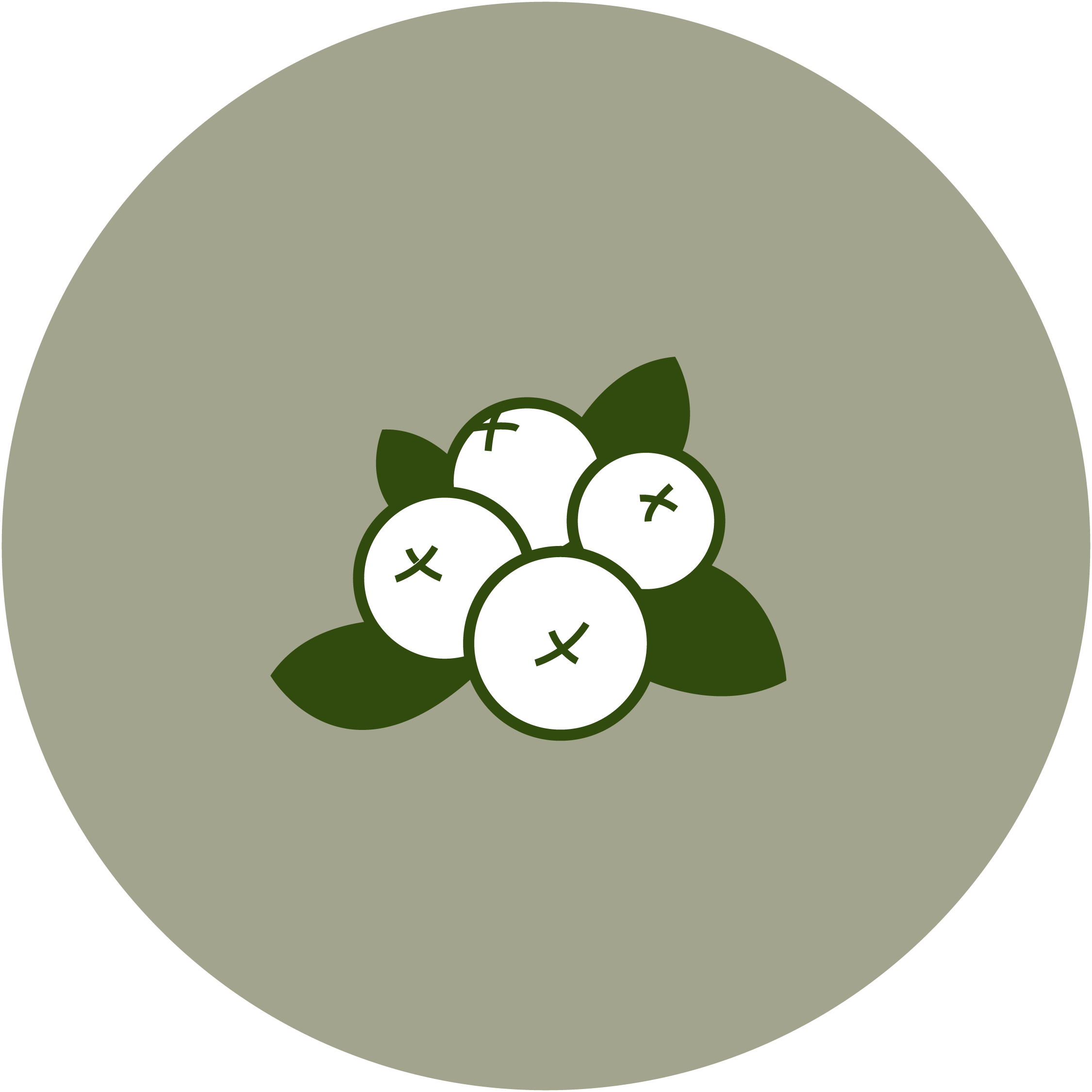 Cranberry