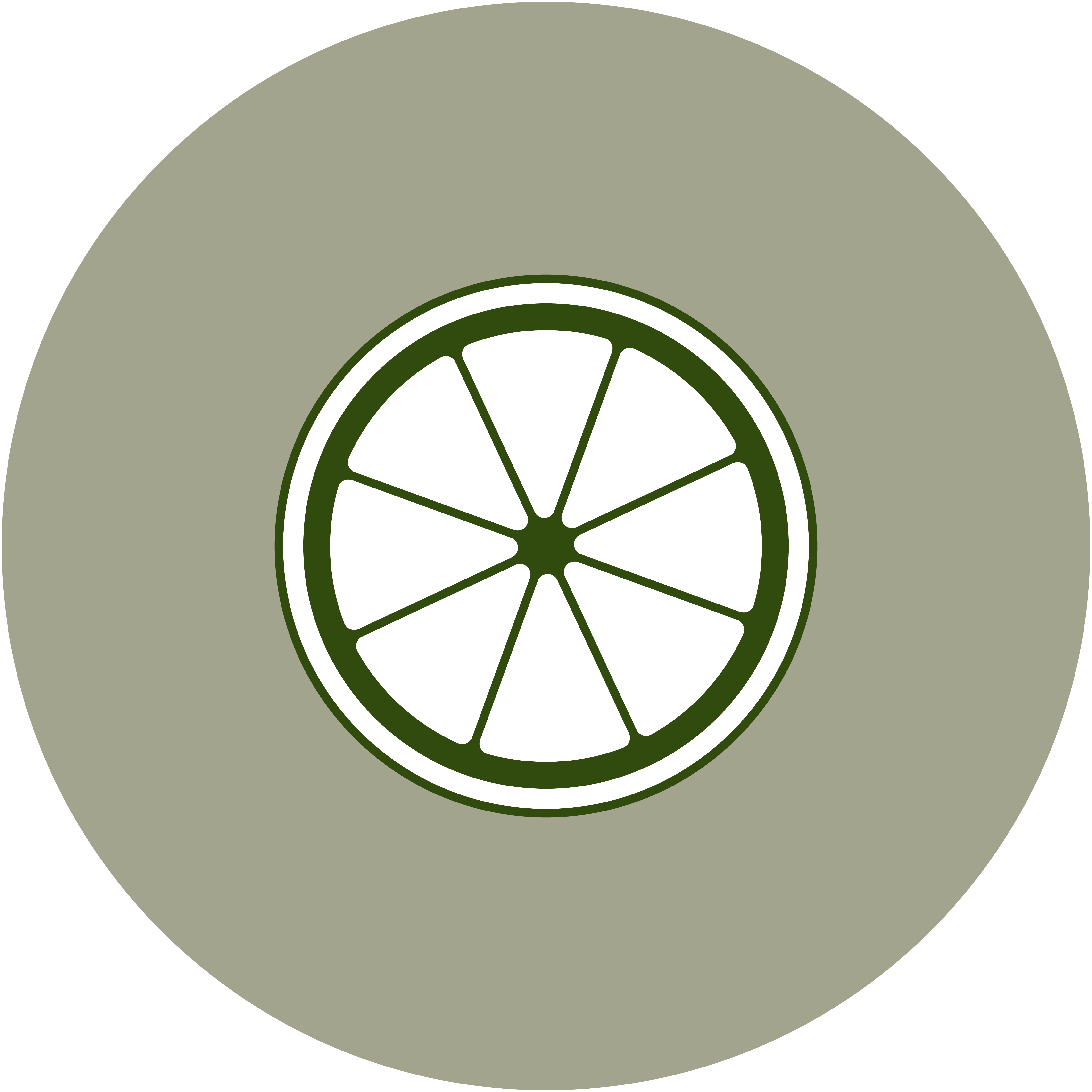 Light Clean Citrus
